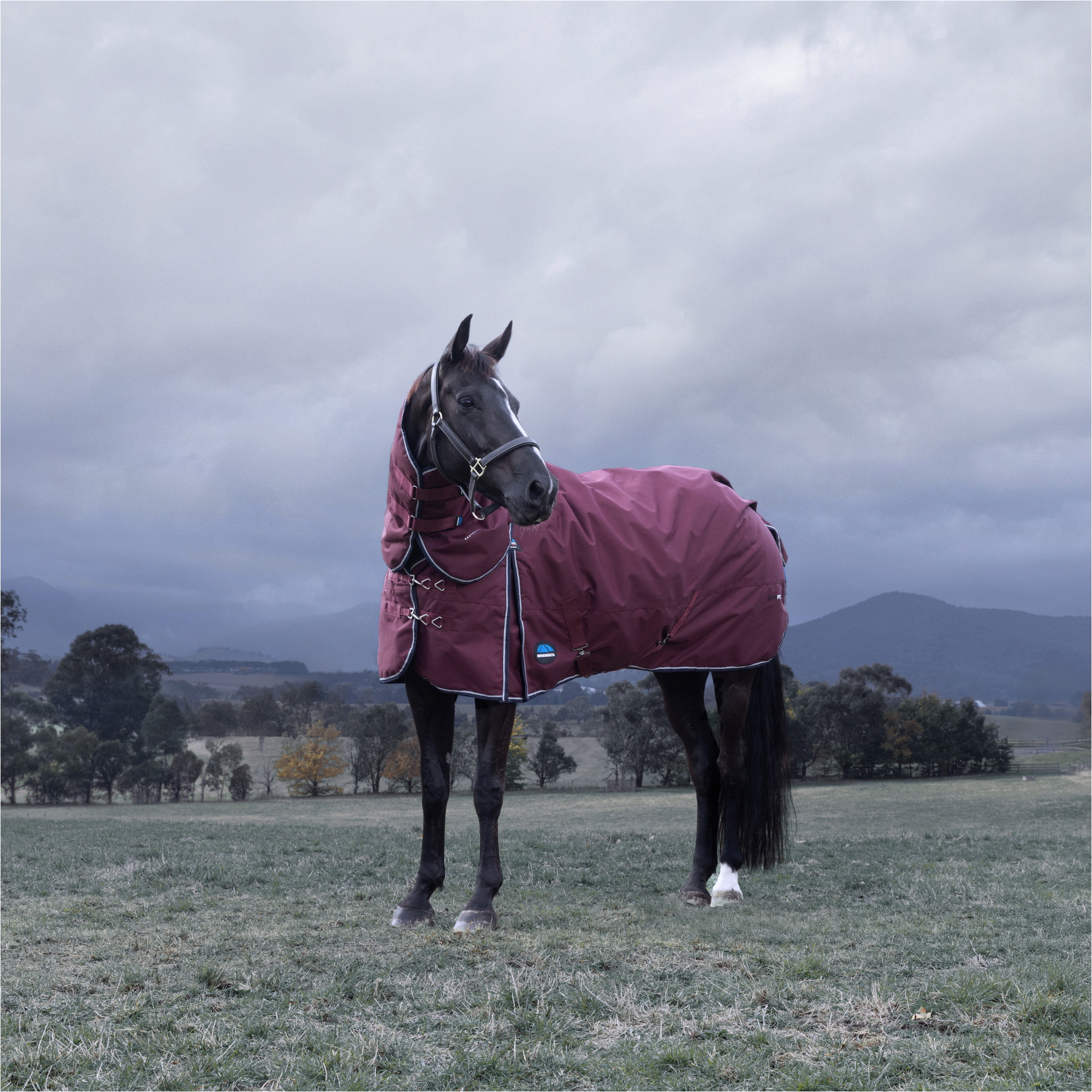 2025 WeatherBeeta Comfitec Essentiel Turnout Décapotable 1029014 - Burgundy